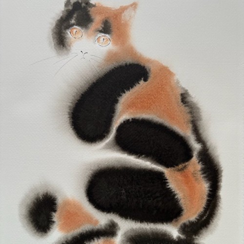 Calico Cat